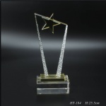 Crystal star trophy